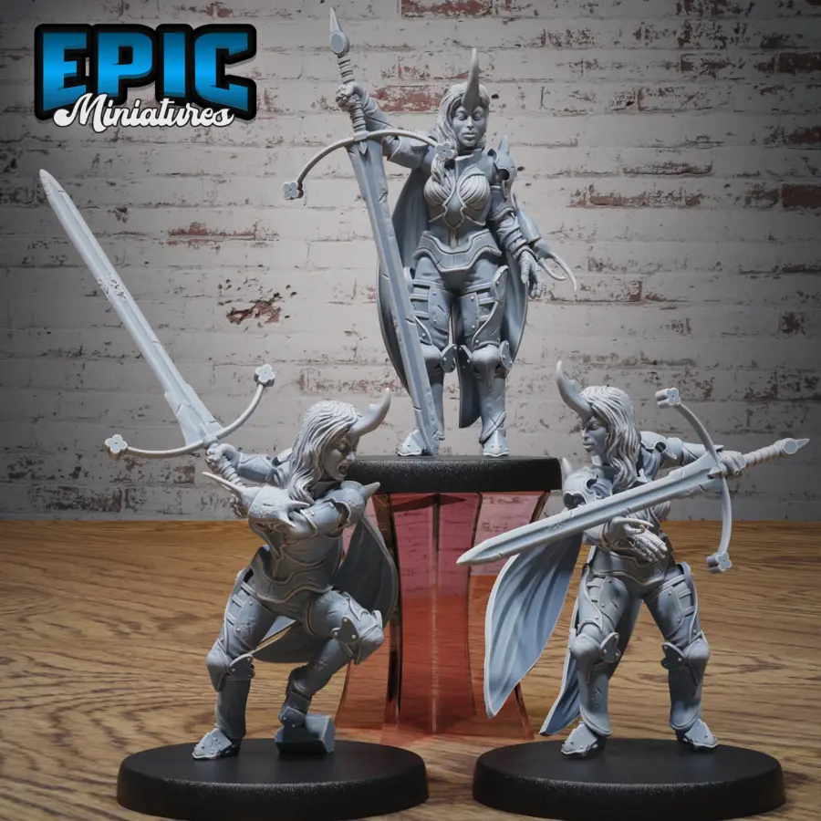 Insect Knight Lady Set