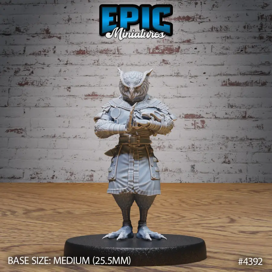 Owl Folk Monk Pray (Medium)