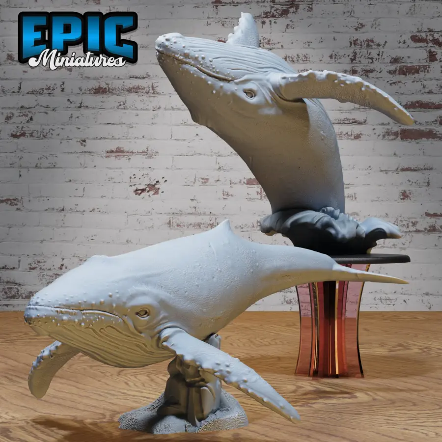 Humpback Whale / Humpback Whale Jump Set