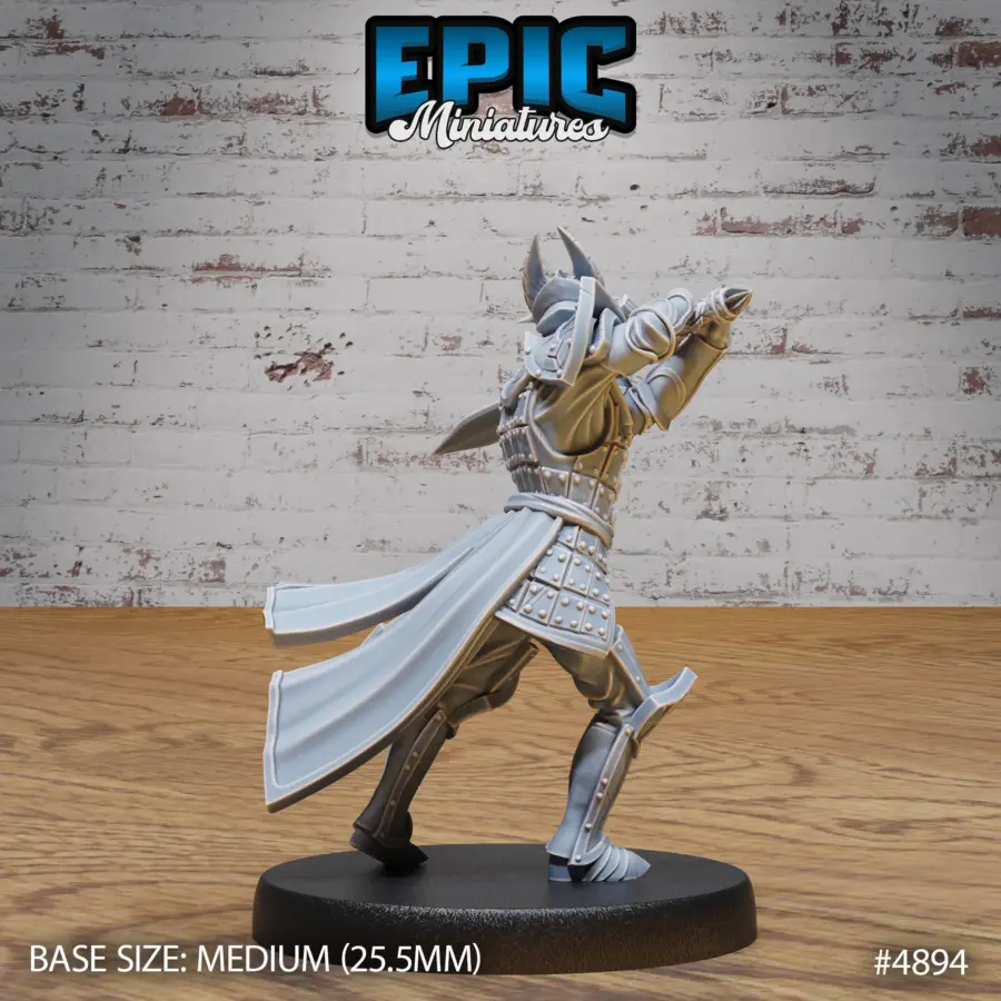 Platinum Paladin Stance (Medium) - Image 2