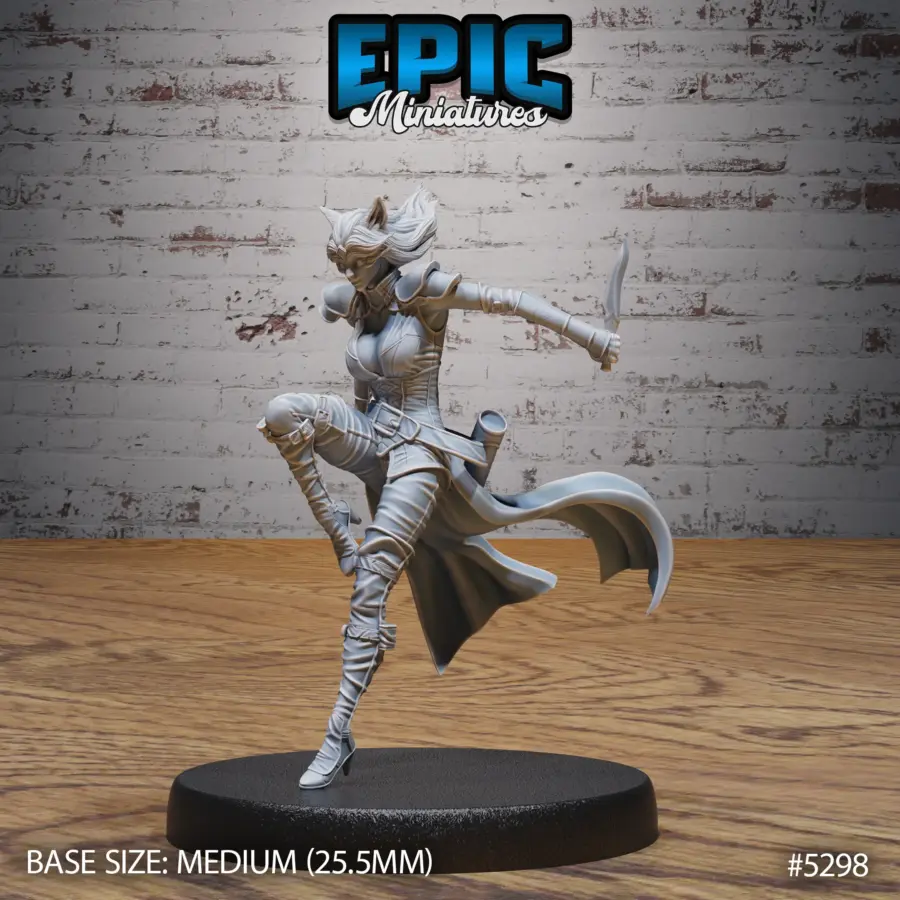 Cat Burglar Rogue Attack (Medium)