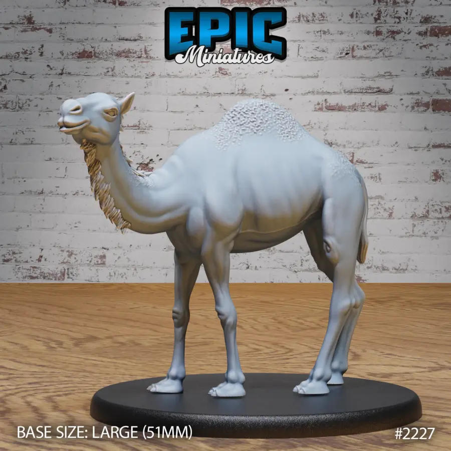 Camel Wild (Large)