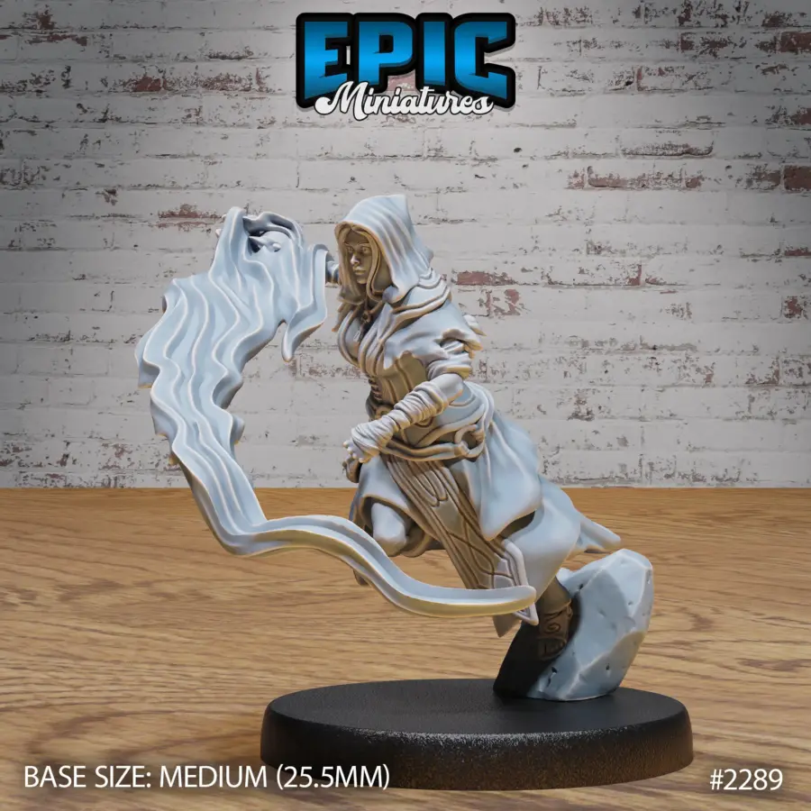 Arcane Sorceress Attacking (Medium)