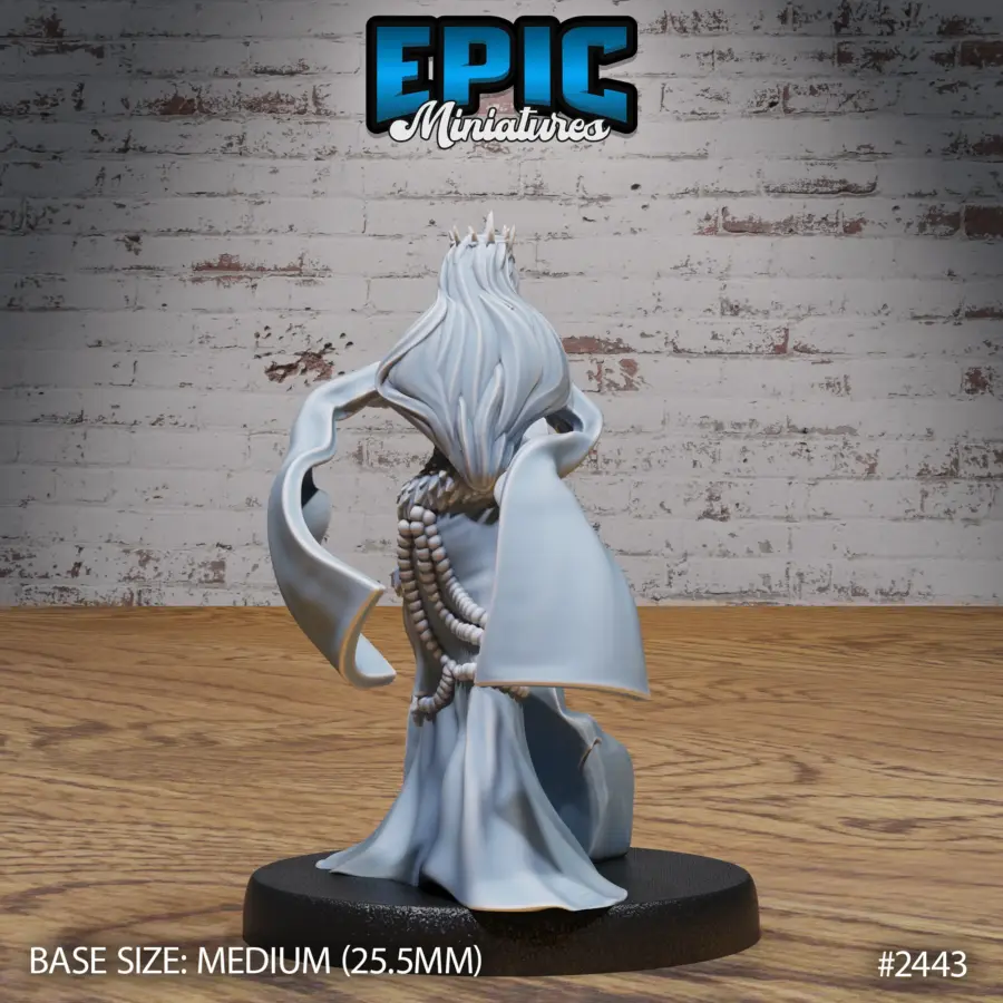 Ice Sorceress Set - Image 5
