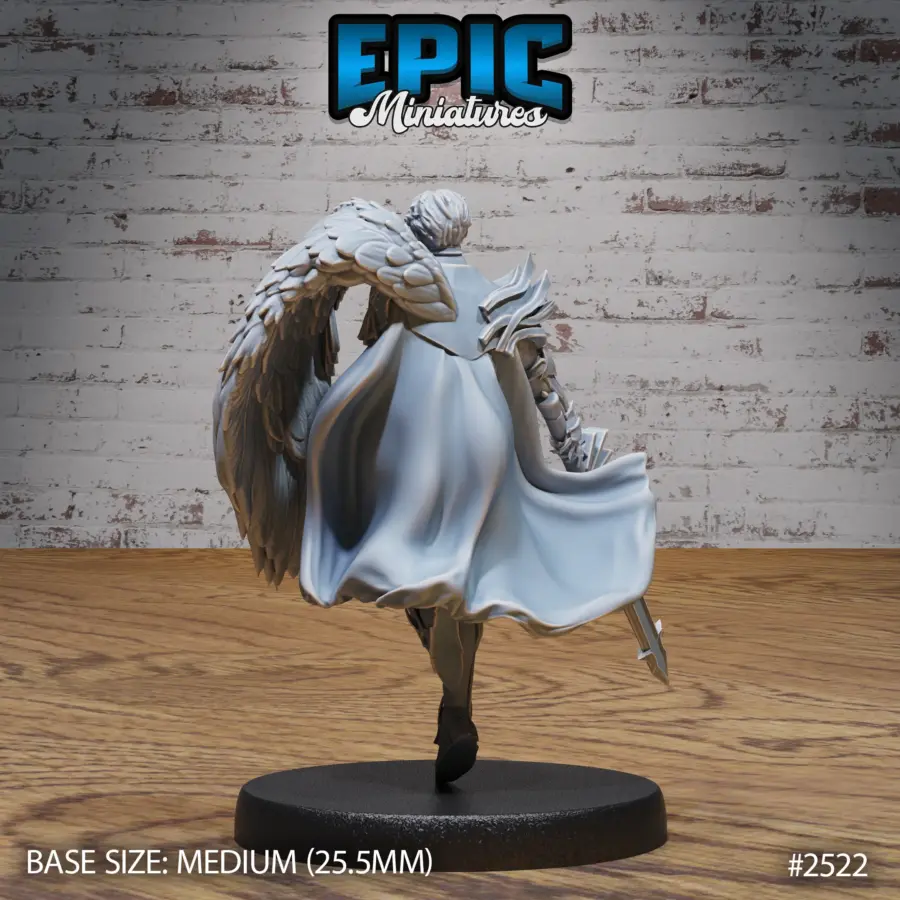 Half Angel Paladin Set - Image 3