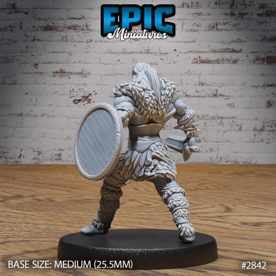 Barbarian Viking Warrior Set - Image 3