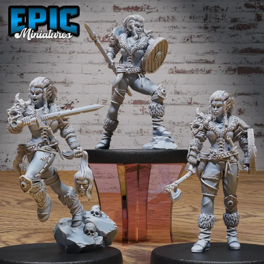 Viking Shieldmaiden Lathgertha Set