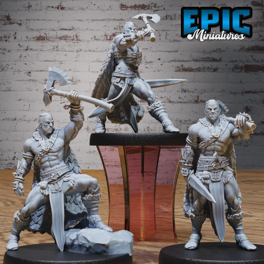Barbarian Player Character Set