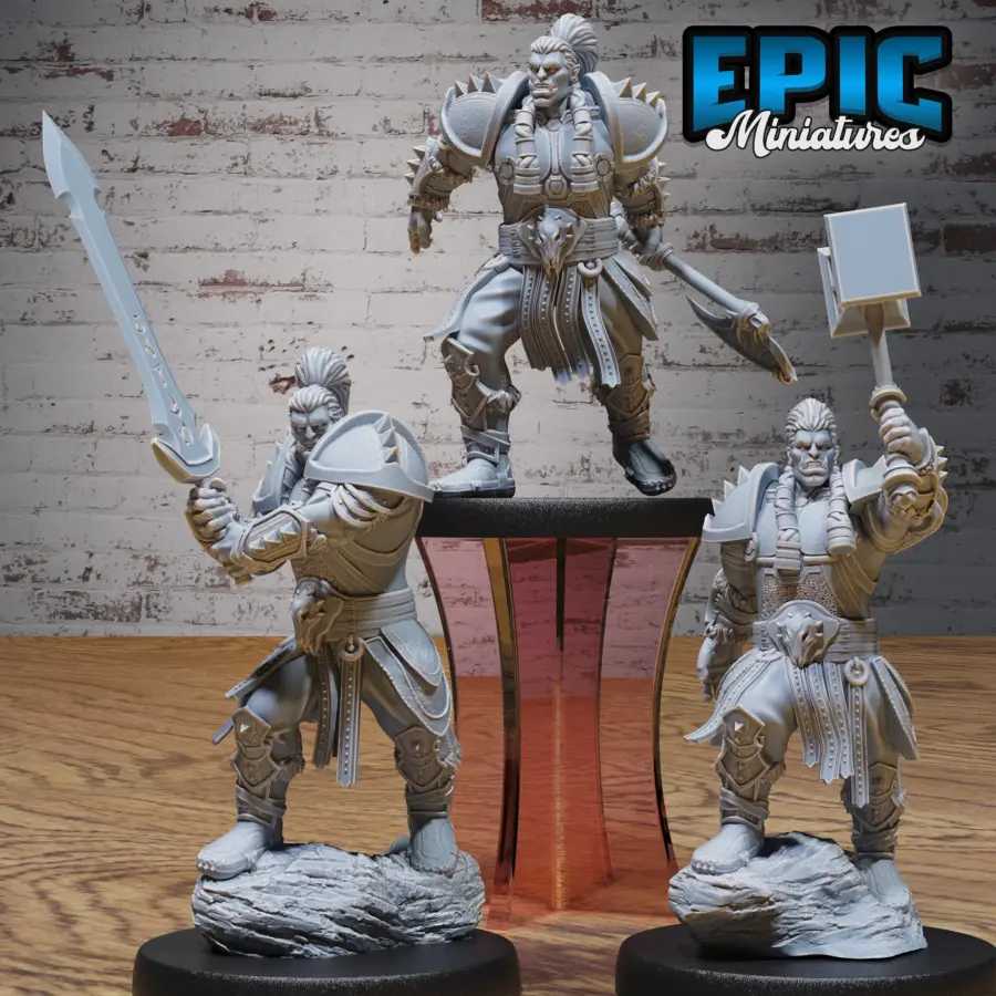 Orc Paladin Player Character Set