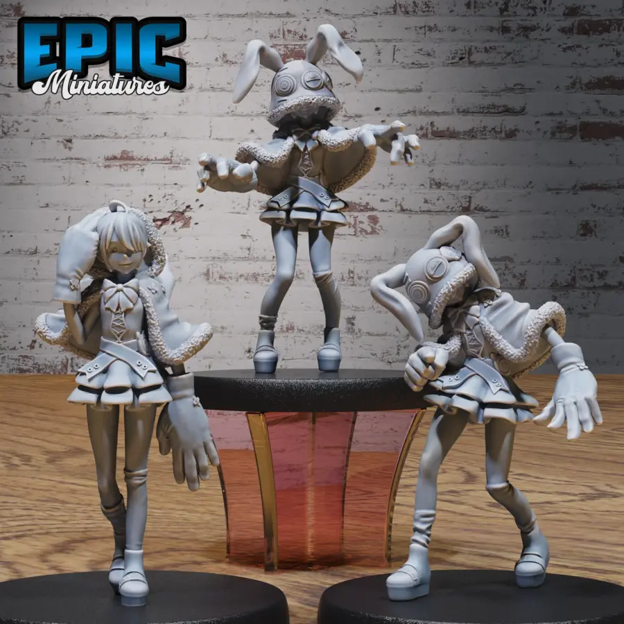 Rabbit Hoodie Girl Set