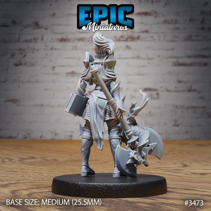 Knight Lady Joan Set - Image 3