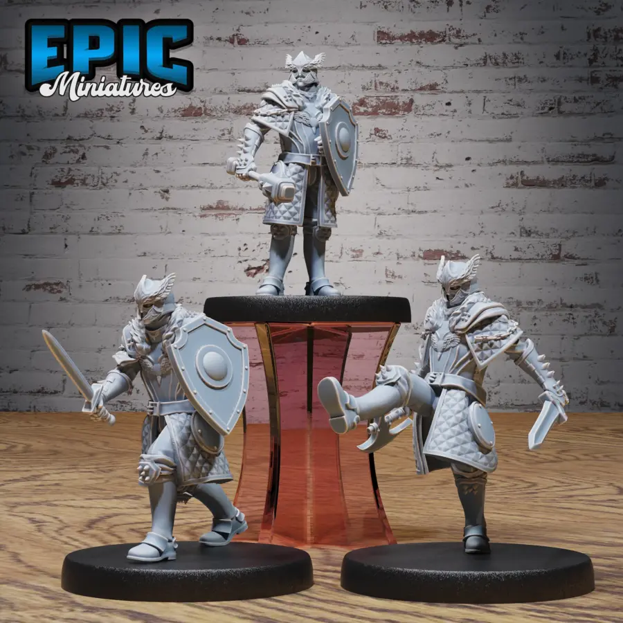 Knight Sir Rollant Set