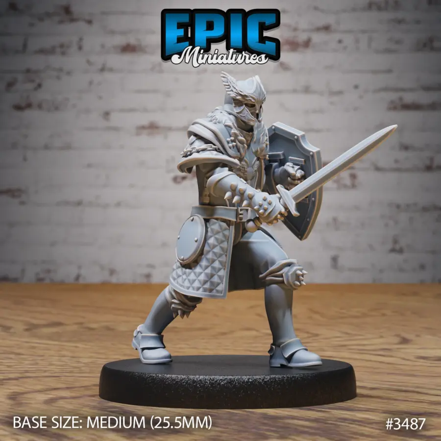 Knight Sir Rollant Attack (Medium)