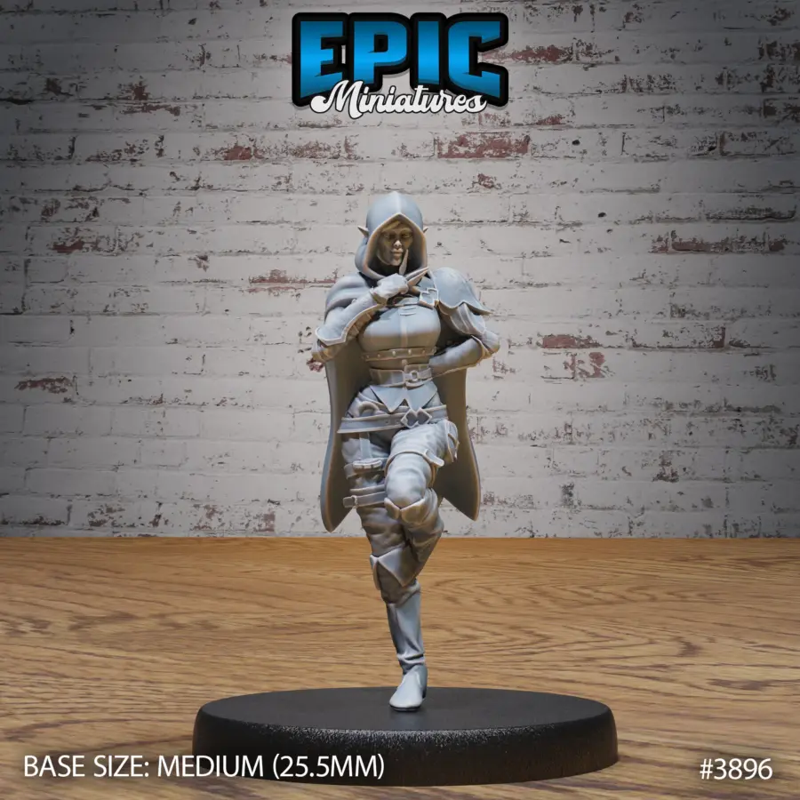 Elf Guild Rogue Stance (Medium)