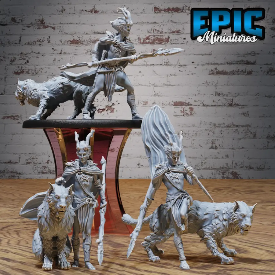 Elf Beast Tamer Set