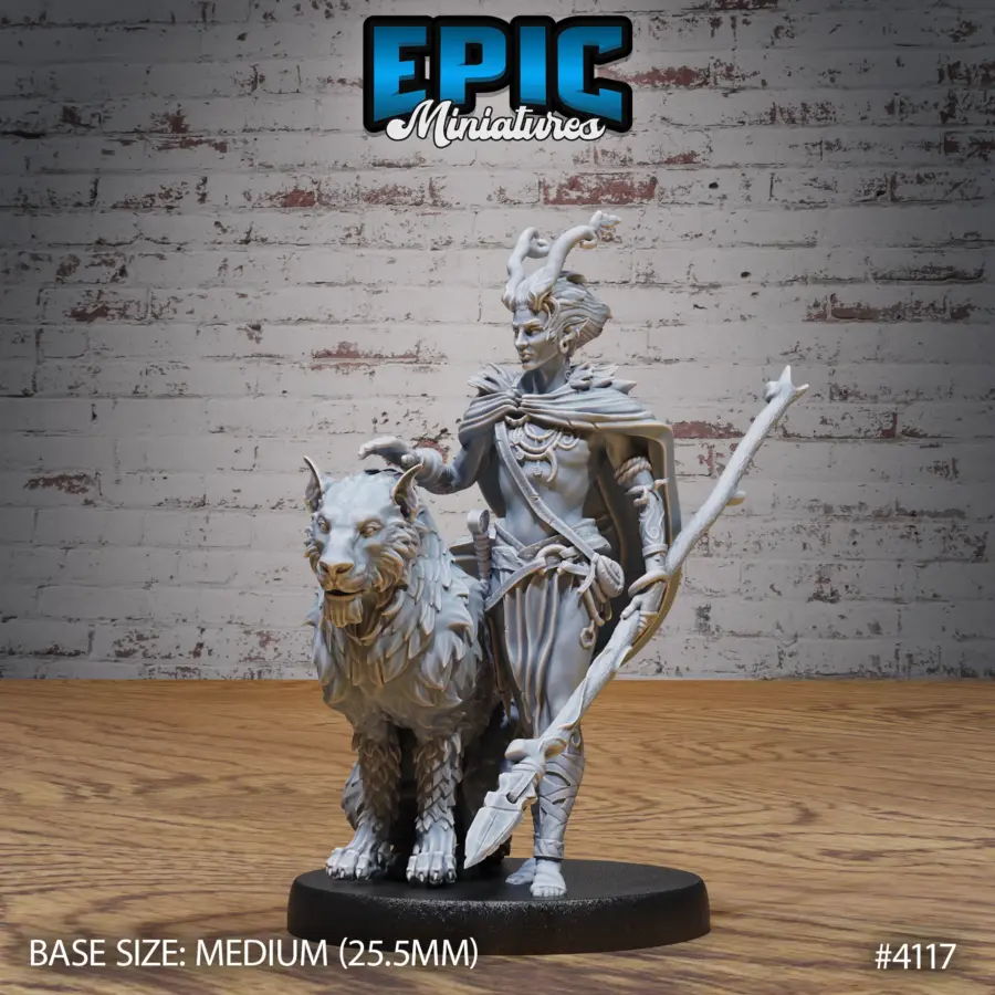Elf Beast Tamer Set - Image 2