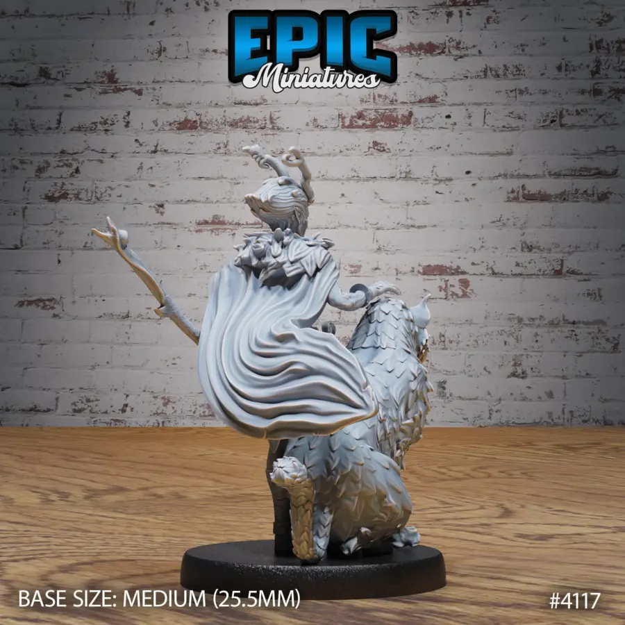 Elf Beast Tamer Set - Image 3