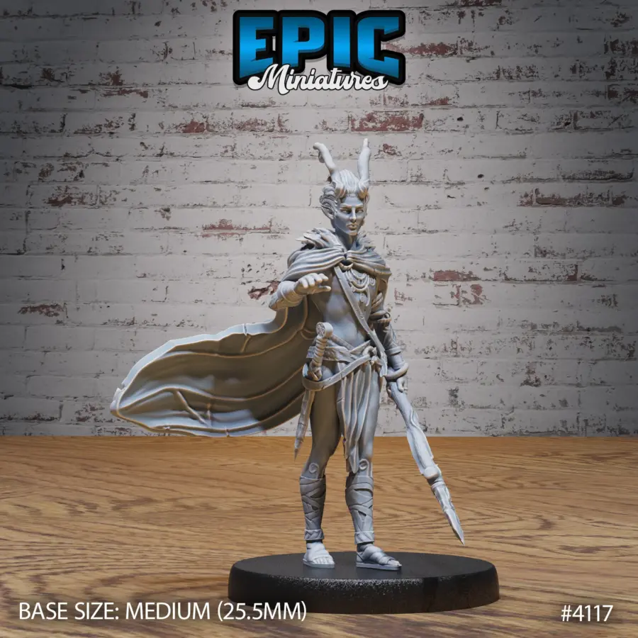 Elf Beast Tamer Set - Image 6