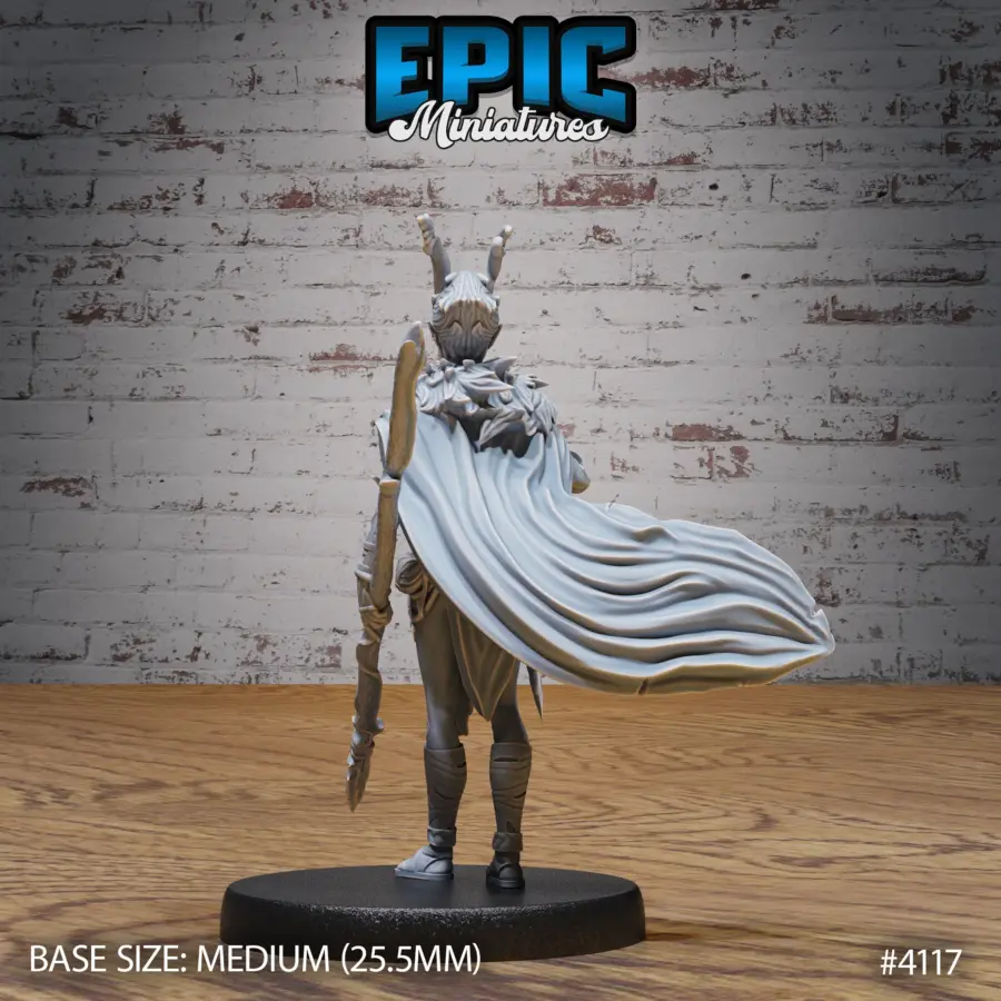 Elf Beast Tamer Set - Image 7