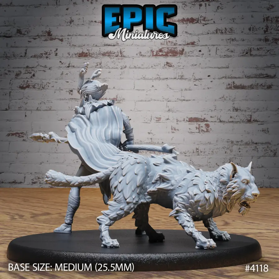 Elf Beast Tamer Set - Image 9
