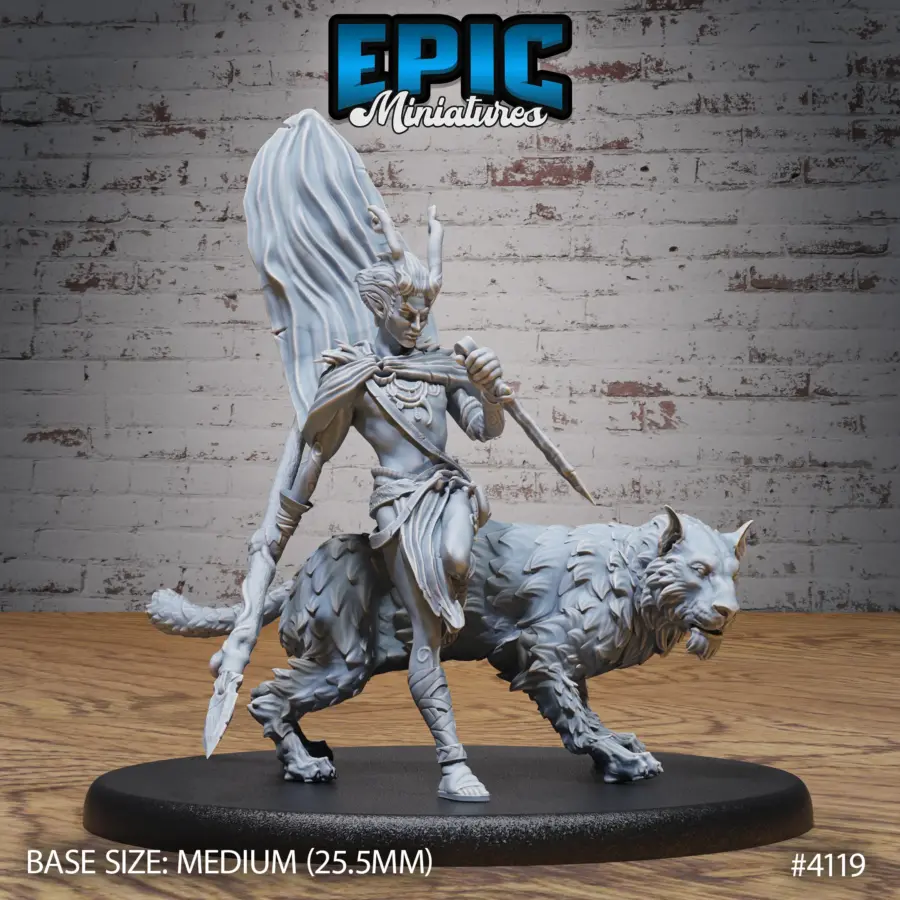 Elf Beast Tamer Set - Image 14