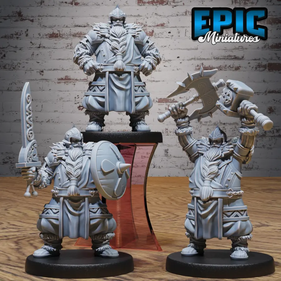 Dwarf Fighter Set