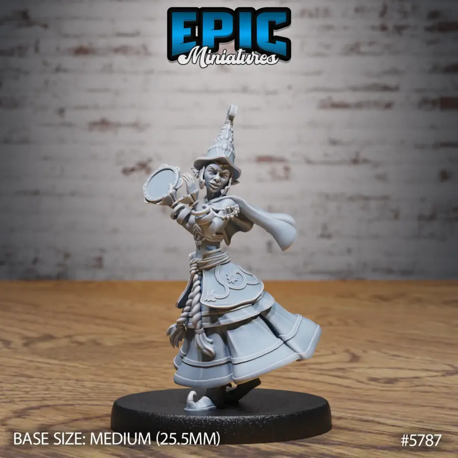 Half-Elf Bard (Medium)