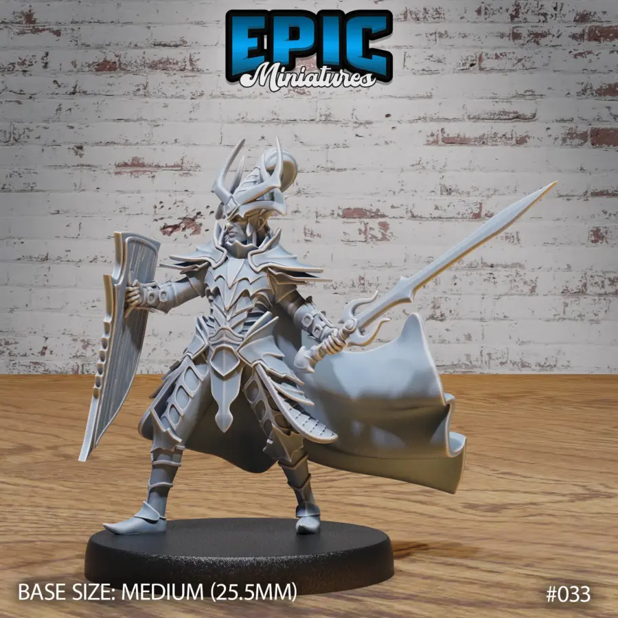 Dark Elf Army Paladin (Medium)