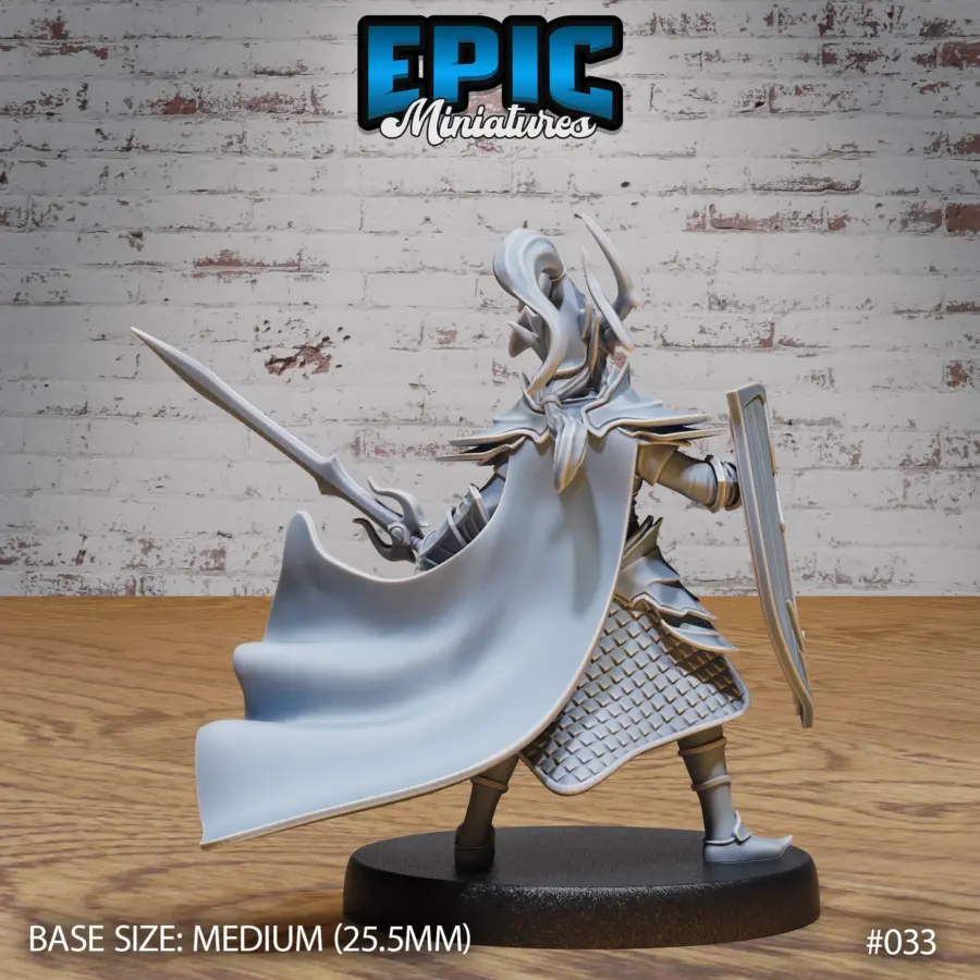 Dark Elf Army Paladin (Medium) - Image 2