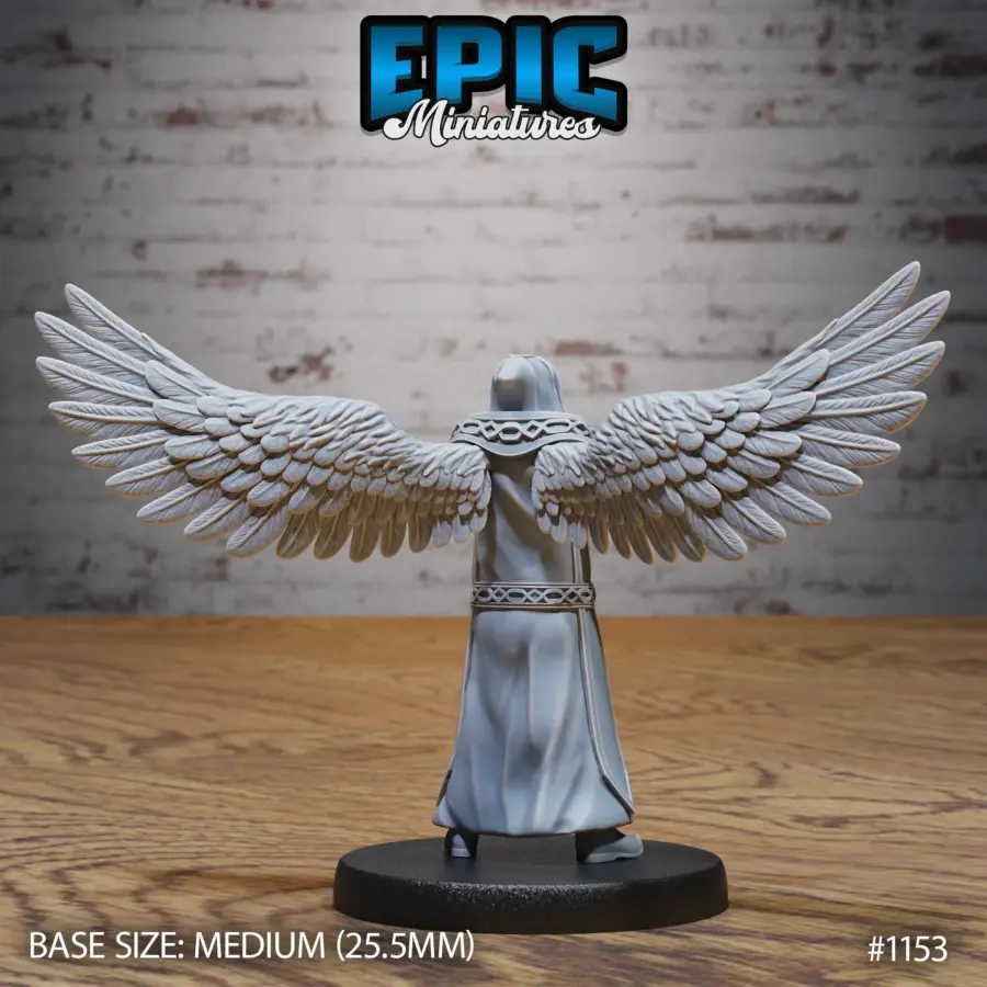 Warrior Angel Set - Image 5