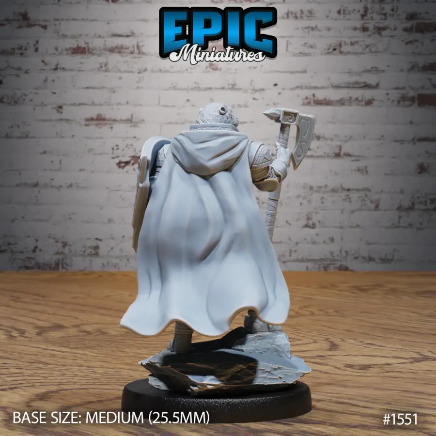 Polar Bear Paladin Shield (Medium) - Image 2