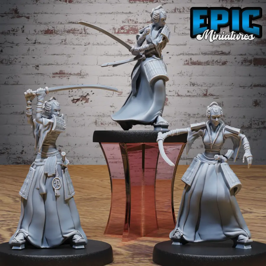 Samurai Female Set