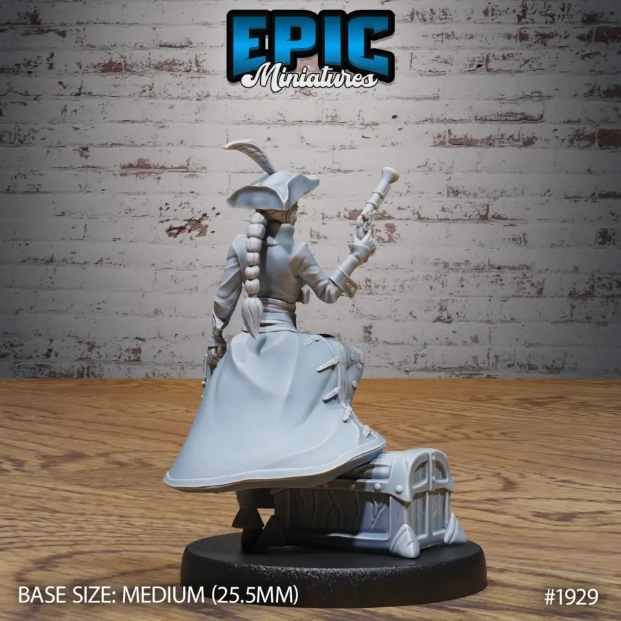 Veteran Captain Treasure (Medium) - Image 2