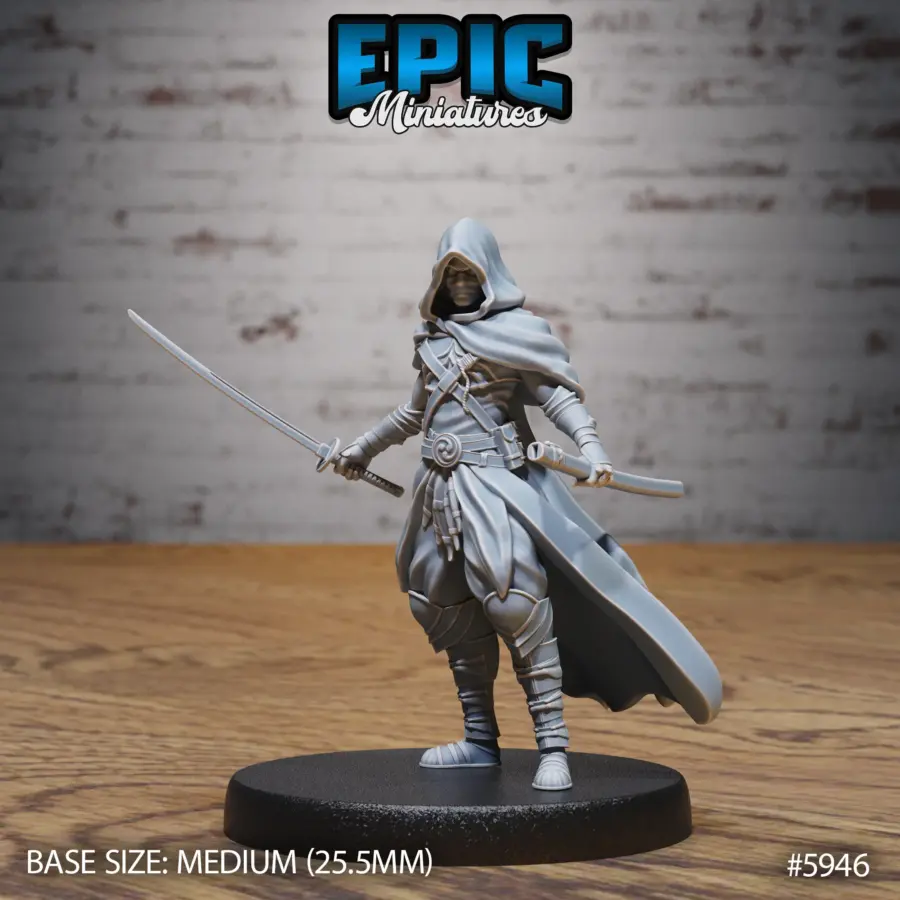 Hooded Ninja (Medium)