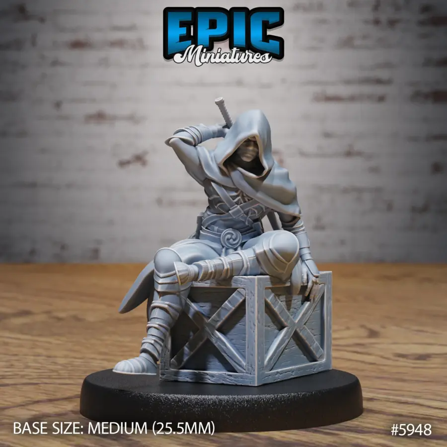 Hooded Ninja Sitting (Medium)